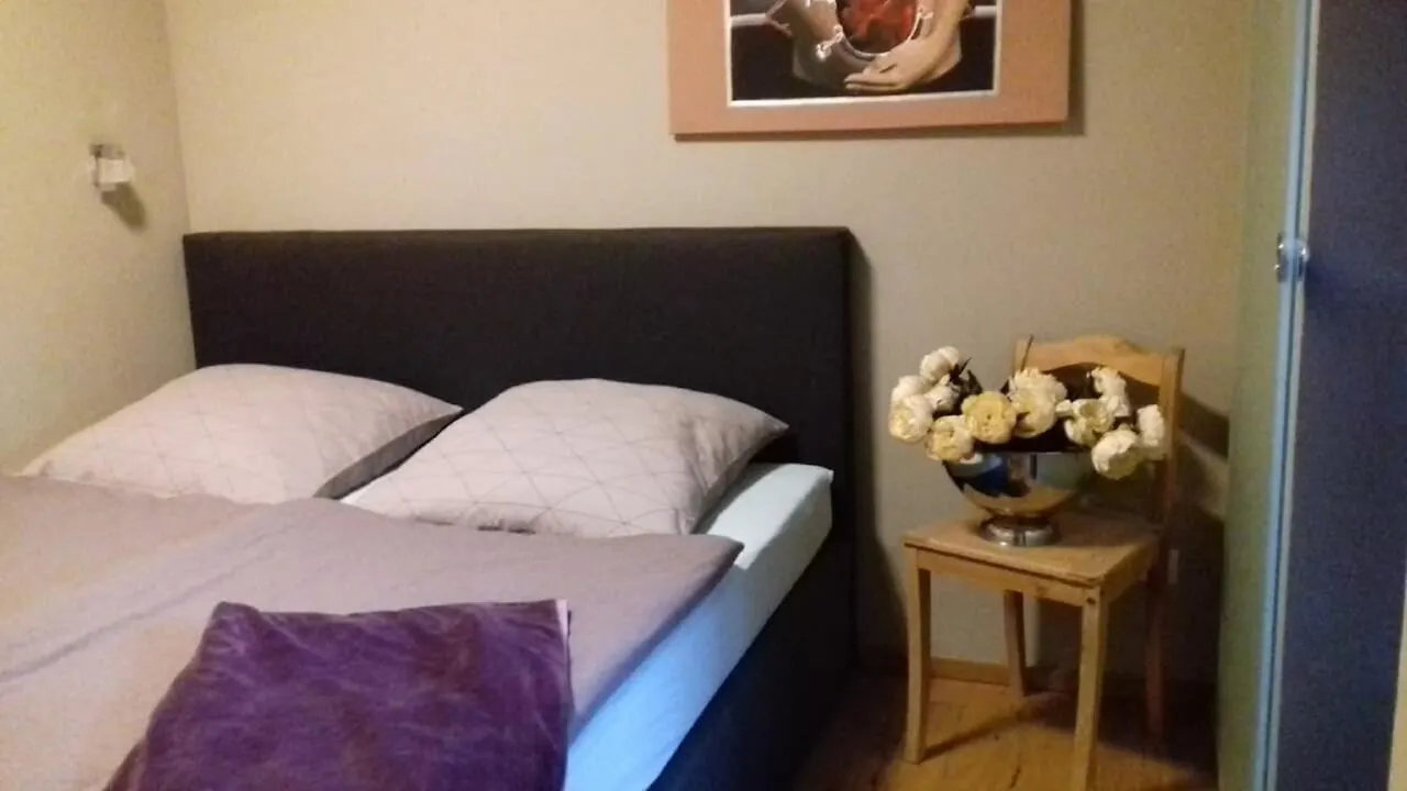 Ferienwohnanlage Zur Himmelsleiter Apartment Tirschenreuth